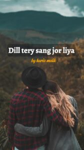 Dil tery sang jor lia novel