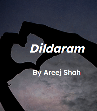 Dildaram Novel by Areej shah.