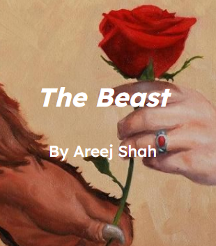 The beast Novel by Areej shah.